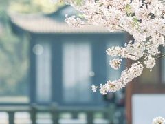 -青岛德国总督楼旧址博物馆