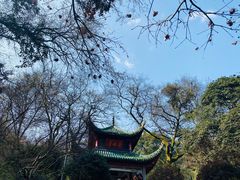 -岳麓山风景名胜区