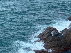 -鹿嘴山庄