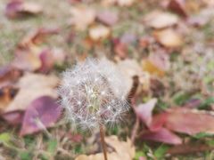 -白塘生态植物园