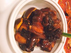 -蝶园·装修中(BFC外滩金融中心店)