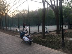 -金星公园