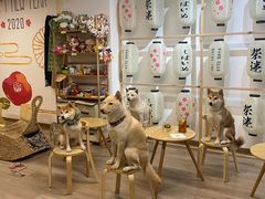 -柴迷FANS CLUB·柴犬狗咖·猫咖
