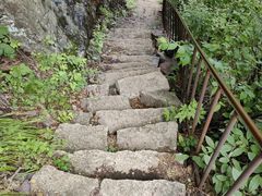 -云岫谷游猎自然风景区