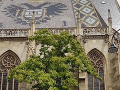 -斯蒂芬主教座堂(Stephansdom)