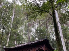 -三门江国家森林公园