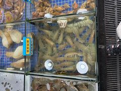 -明记海鲜大排档(巽寮湾店)