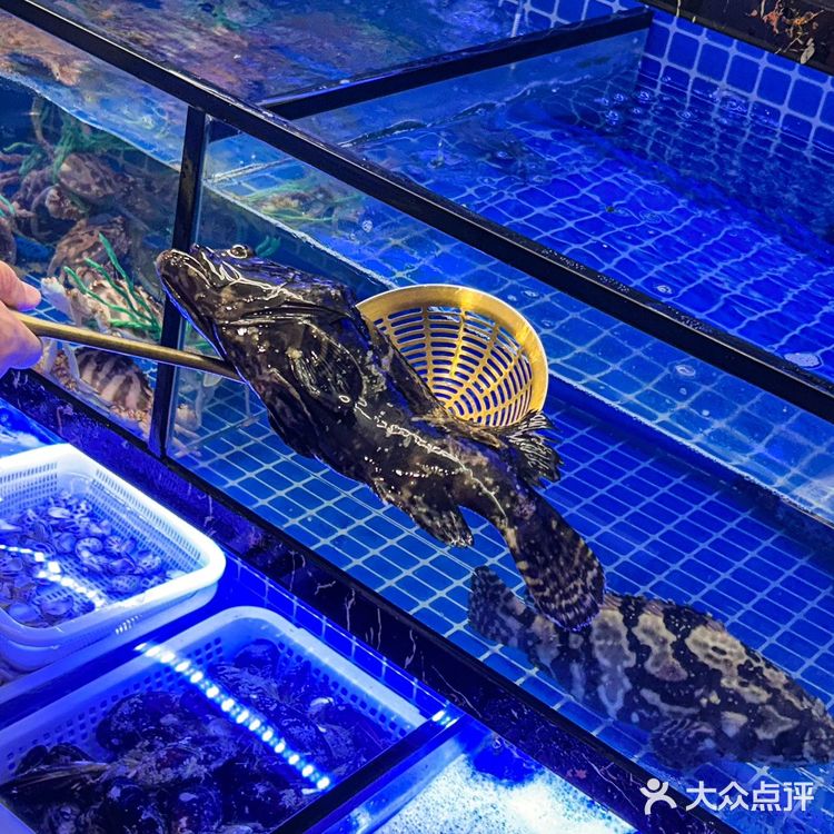 感觉是上海目前第一好吃的。。。。。。🥹🥹