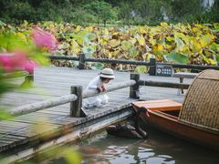 -鹅湖玫瑰文化园