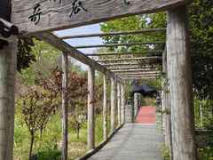 -南汇桃花村