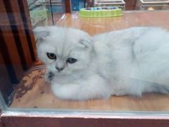-龟与熊猫宠物公园(南坪店)