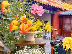 -中国翰园碑林