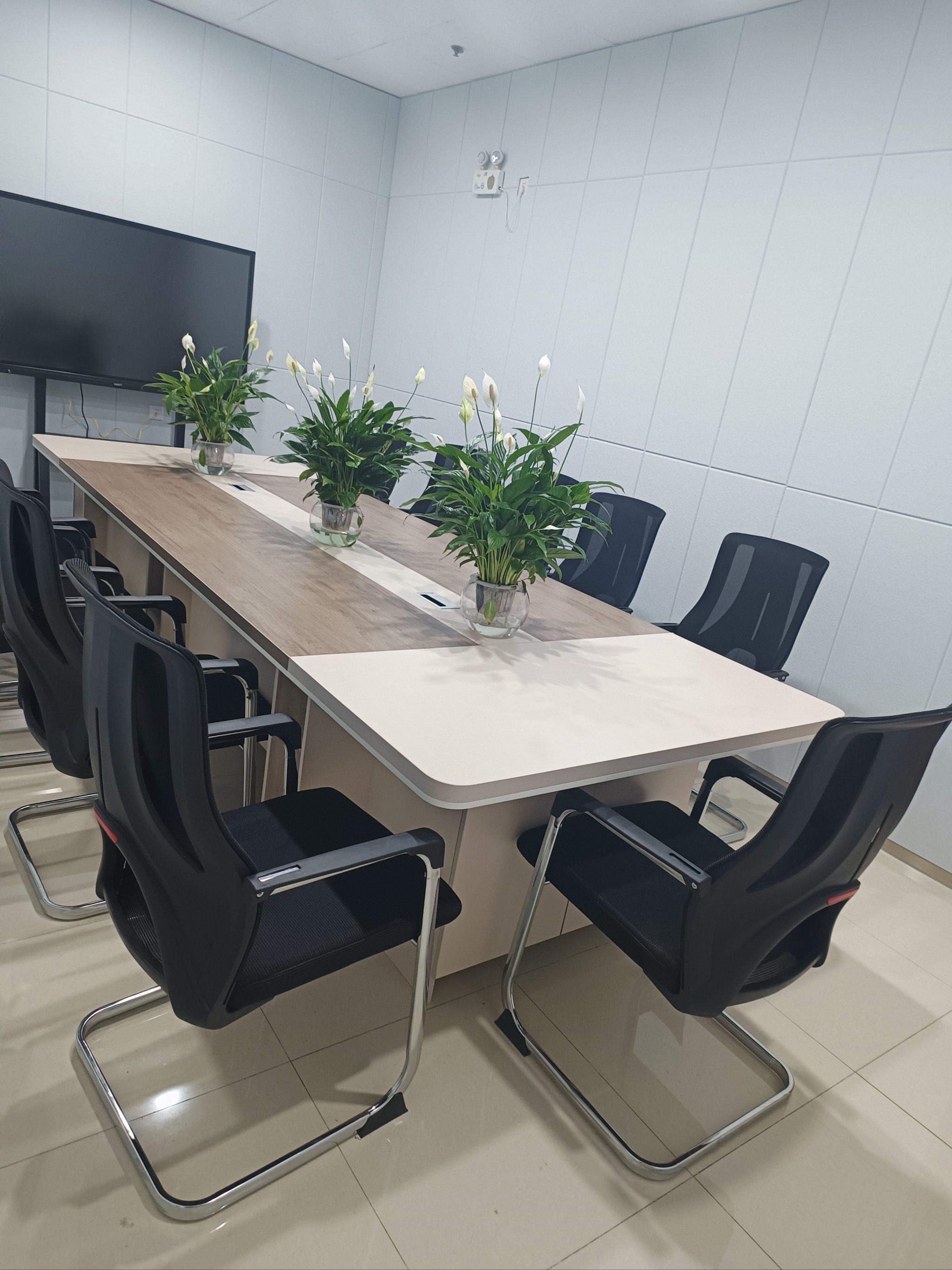 会议室里放上一些植物,一下就不一样了,不