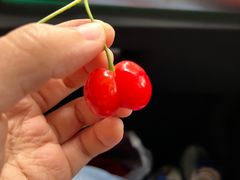 -樱桃山旅游景区