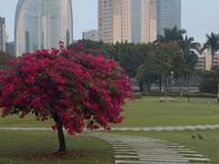 -白鹭洲公园