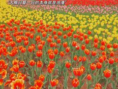 -石家庄市植物园