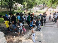 -阳台山自然风景区