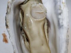 -海大大蒸汽海鲜餐厅·粤菜·特色小炒(欢乐颂店)