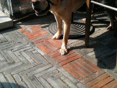 android_upload_pic-Geneva日内瓦餐厅(西郊宝成花苑店)