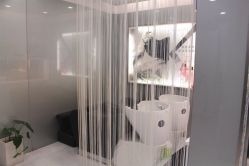 点击看大图 iphone_upload_pic-组合发型