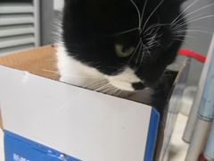 -艾加柒克蛋糕茶歇甜品台(春熙路店)