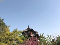 -西安青龙寺遗址景区