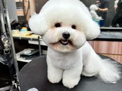 -宠宠熊宠物美容(星湖街店)