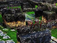 -九龙寨城公园
