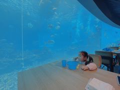 -海棠湾洲际-涛·海底餐厅·美人鱼·自助餐·海底隧道