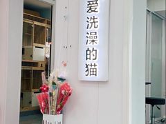 -爱洗澡的猫(望京店)