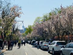 -天津五大道文化旅游区