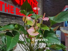 -豆豆花艺(新光天地店)