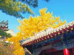 -长安寺