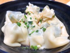 野菜鲜肉大馄饨-真真鲜馄饨店(启蒙路店)