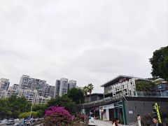 -福道