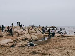 -老虎石海上公园