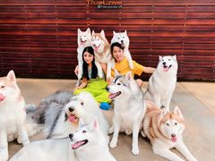 -TrueLove @ Neverland (Husky Cafe)