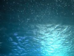 -海棠湾洲际-涛·海底餐厅·美人鱼·自助餐·海底隧道