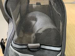 -阿荣24H宠物医院·综合型转诊中心·CT·核磁影像中心