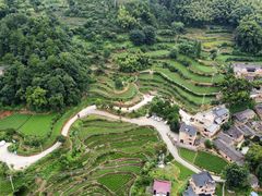 -杨家堂村