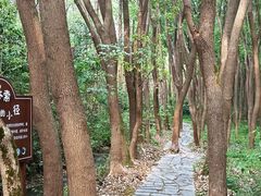 -同里国家湿地公园