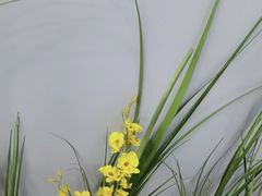 -福禄财东北菜(珠江帝景店)