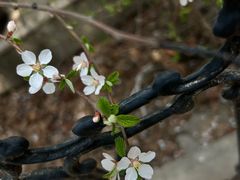 -长春公园(普阳街道)