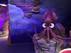 -青岛嘉年华主题乐园