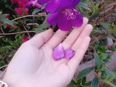 -观澜湖高尔夫球会