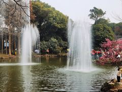 -无锡梅园公园