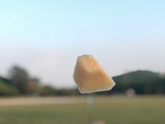 -大屏嶂森林公园