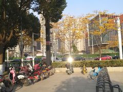 -范湖(地铁站)