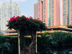 -御彩酒家(东风东路店)