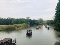 -溱湖国家湿地公园